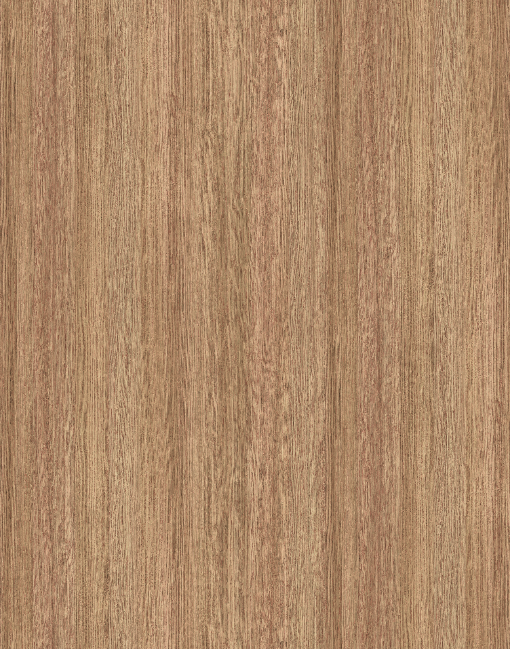 9123 SN SLAVONIA OAK.jpg
